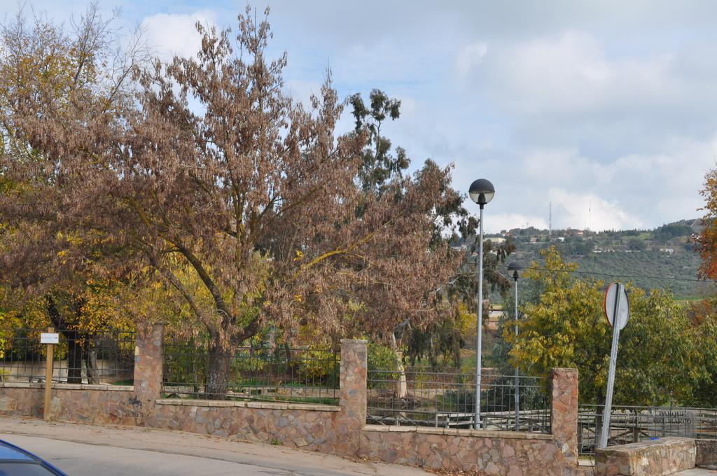 Apartamento Turistico La Ribera Del Marco Caces 部屋 写真